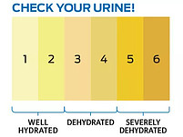 Hydration chart to check the colour or urine